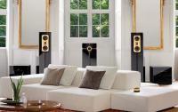 Steinway Lyngdorf Model С Music System System of 2 pcs Model C Speaker, 2 Pcs Model M Woofer Hard Wood