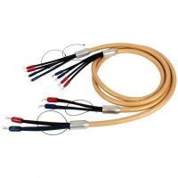 Van Den Hul Mounted set 3T The Cumulus Hybrid 4m BERRI (2-2) gold