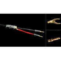 Atlas Mavros (2->2) 2.0m Transpose Z plug Gold