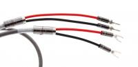 Atlas Ascent 3.5 5.0m [Transpose Z plug Silver]