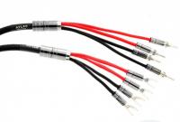 Atlas Mavros wired 4x4 3.0m [Transpose Z plug Gold]