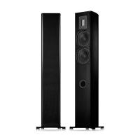 Piega Premium 701 Wireless AB