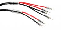 Atlas Mavros wired 2x4 3.0m [Transpose Z plug Silver]